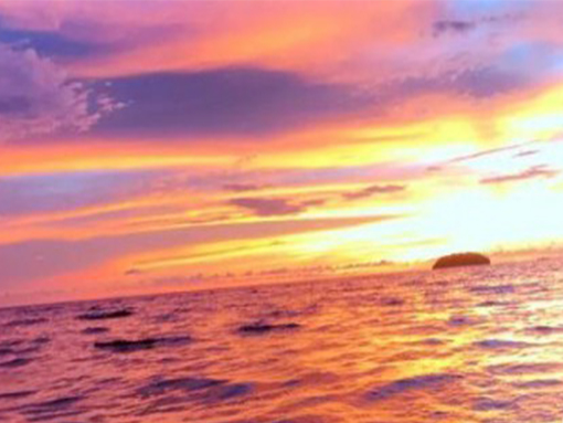 ����׃�����x�ͺ�ע�����